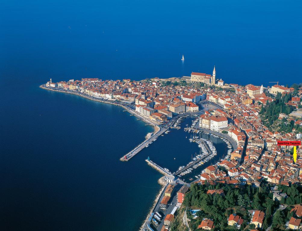 Apartma Tayana Apartment Piran Bagian luar foto